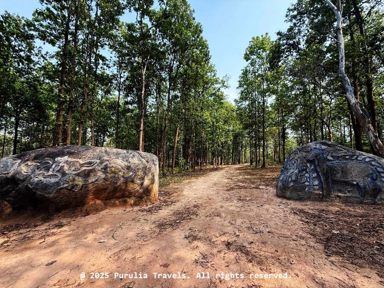 Rock-Design-5---Pakhi-Pahar---Purulia-Travels
