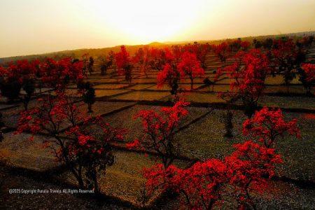 Polash Tour Purulia – 3 Days 2 Nights