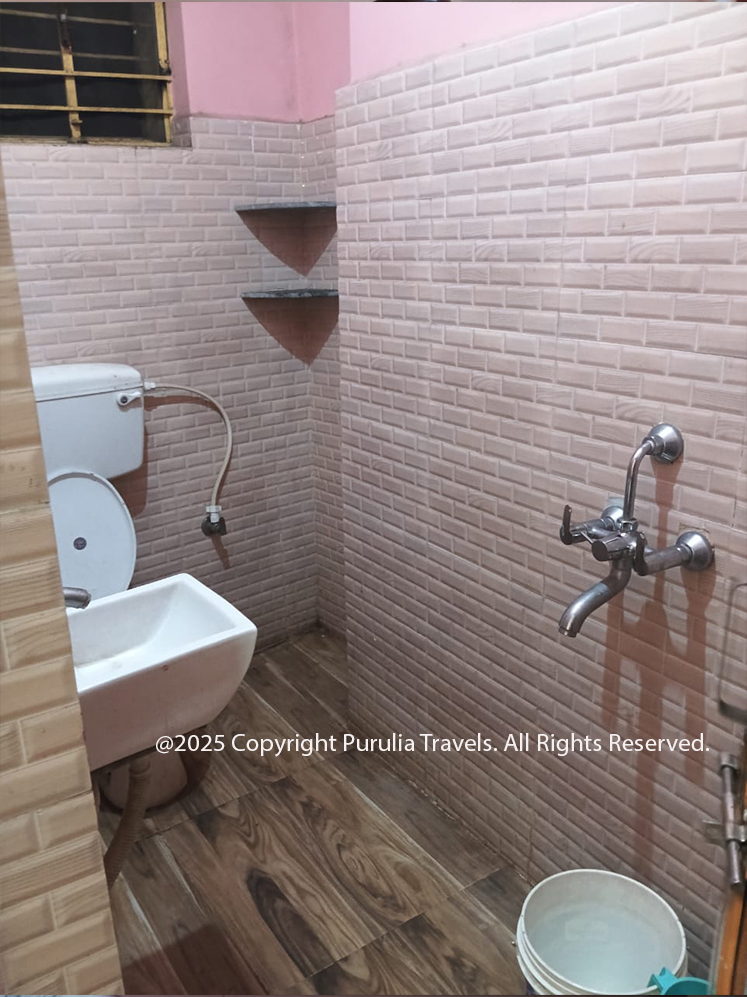 Standard Room With Ac-Hotel Basant Bihar