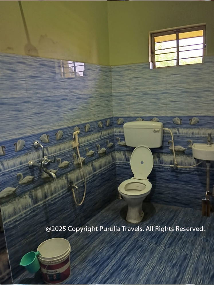 Standard Room With Ac-Hotel Basant Bihar