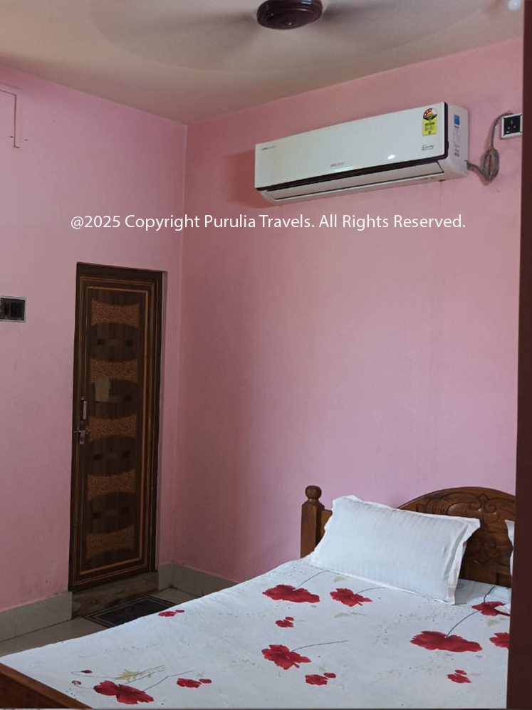 Standard Room With Ac-Hotel Basant Bihar